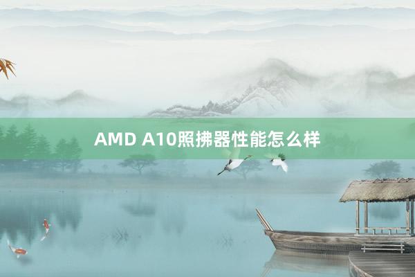 AMD A10照拂器性能怎么样
